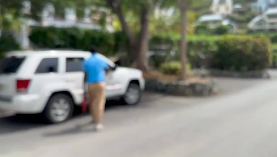 A still from the MicroAntix onsite video collection