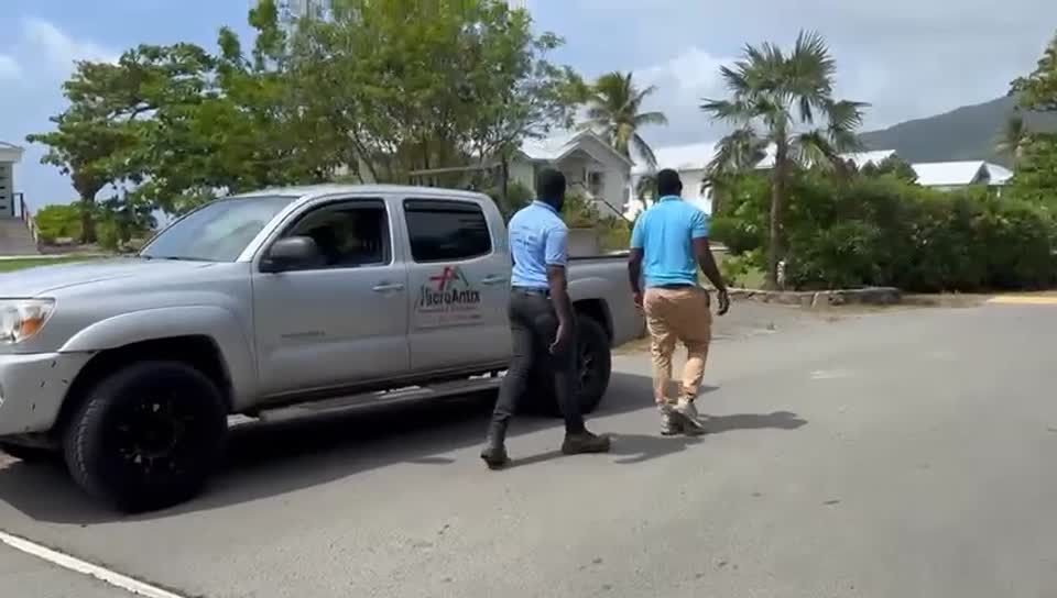 A still from the MicroAntix onsite video collection